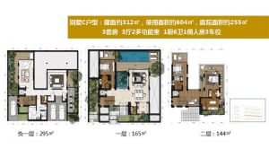 别墅C户型 3房3厅6卫 建面312平米