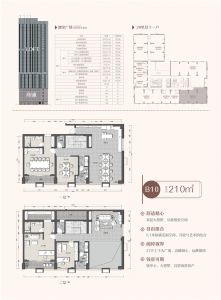 B10户型 建筑面积约：210m²