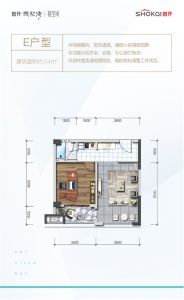 E户型 建筑面积54平米