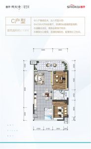 C户型 建筑面积119平米