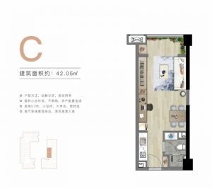 C户型 建筑面积42.05平米