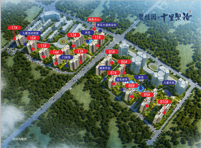 碧桂园十里繁花在售11#12#栋楼三至四房 均价9500元/㎡